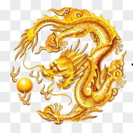 爆料五爪金龙视频大全最新,最新视频大全带你领略神秘国宝风采  第3张