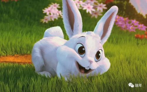 娱乐吃瓜酱 兔 圆 第1张 娱乐吃瓜酱 兔 圆 第1张